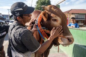 Melepas Si Arjuno untuk Selamanya